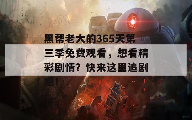 黑帮老大的365天第三季免费观看，想看精彩剧情？快来这里追剧吧！