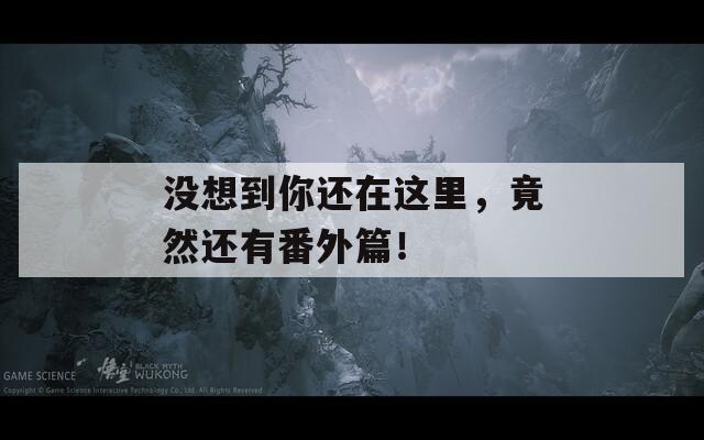 没想到你还在这里，竟然还有番外篇！