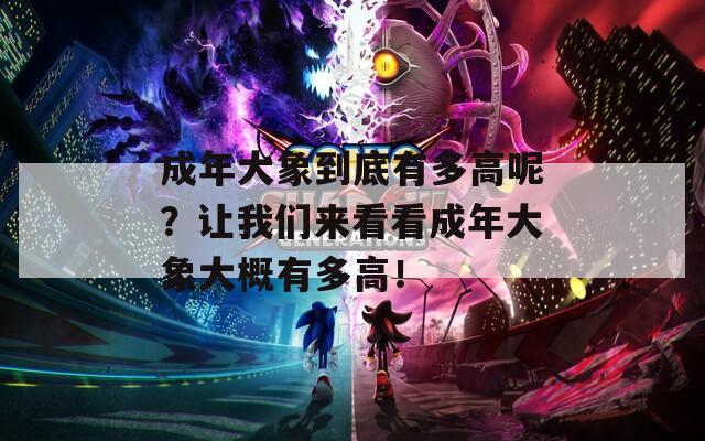 成年大象到底有多高呢？让我们来看看成年大象大概有多高！
