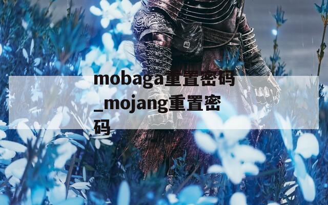 mobaga重置密码_mojang重置密码