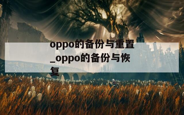 oppo的备份与重置_oppo的备份与恢复