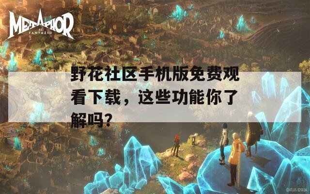 野花社区手机版免费观看下载，这些功能你了解吗？