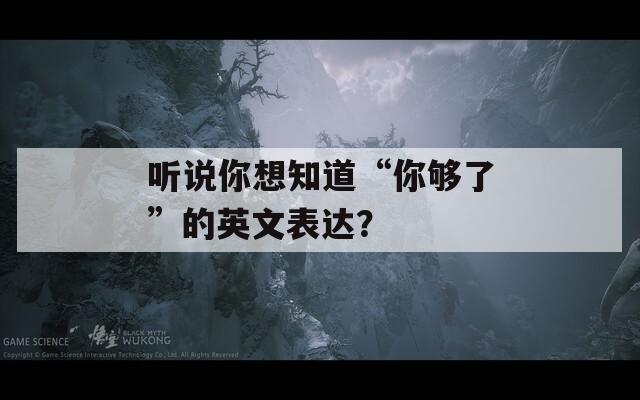 听说你想知道“你够了”的英文表达？