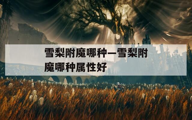 雪梨附魔哪种—雪梨附魔哪种属性好