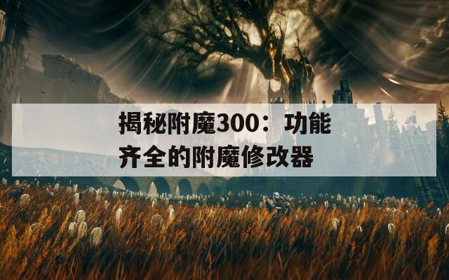 揭秘附魔300：功能齐全的附魔修改器