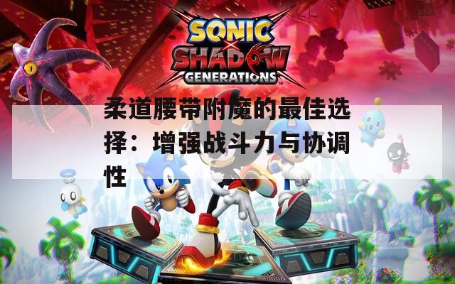 柔道腰带附魔的最佳选择：增强战斗力与协调性