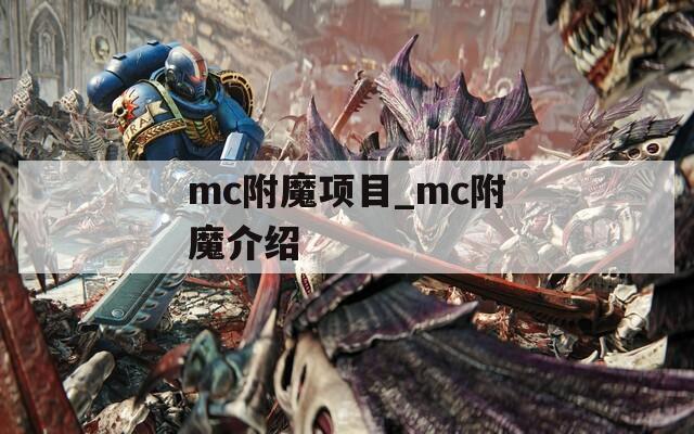 mc附魔项目_mc附魔介绍