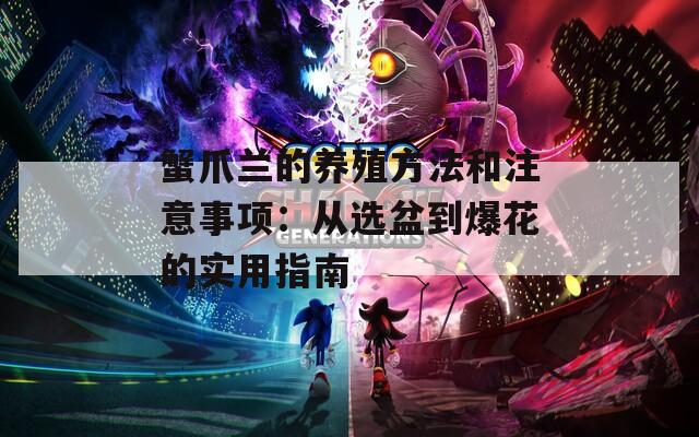 蟹爪兰的养殖方法和注意事项：从选盆到爆花的实用指南
