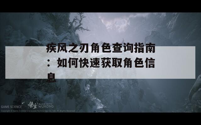 疾风之刃角色查询指南：如何快速获取角色信息