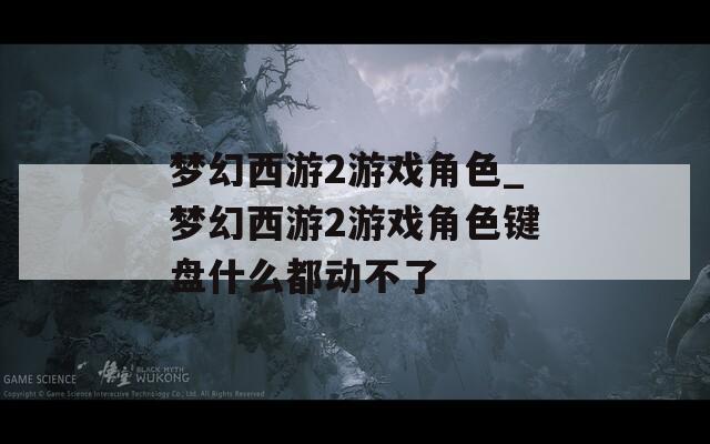 梦幻西游2游戏角色_梦幻西游2游戏角色键盘什么都动不了
