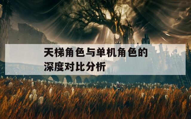 天梯角色与单机角色的深度对比分析