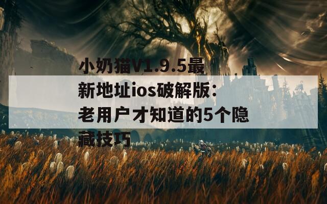 小奶猫V1.9.5最新地址ios破解版：老用户才知道的5个隐藏技巧