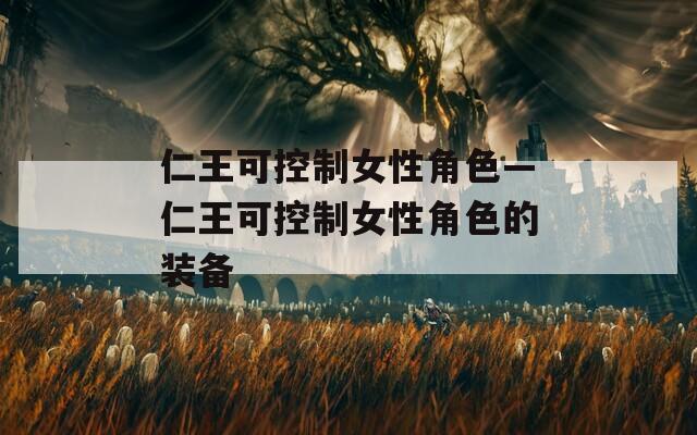 仁王可控制女性角色—仁王可控制女性角色的装备