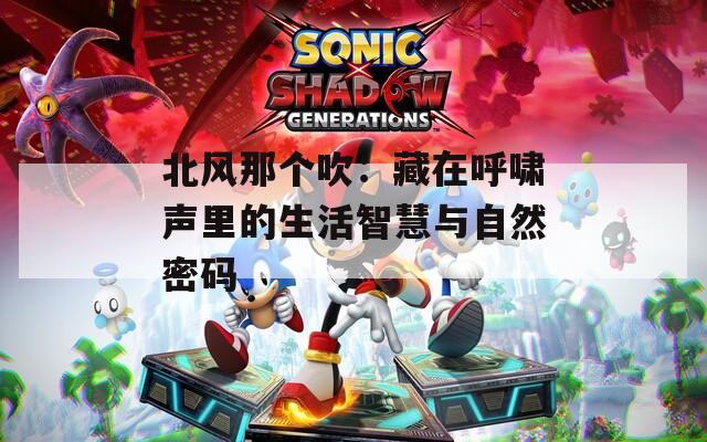 北风那个吹：藏在呼啸声里的生活智慧与自然密码