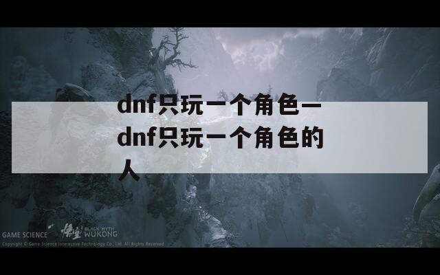 dnf只玩一个角色—dnf只玩一个角色的人