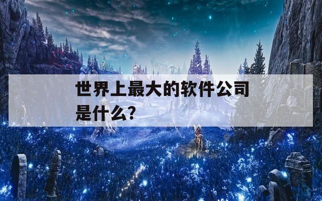 世界上最大的软件公司是什么？