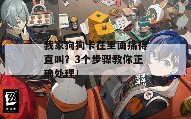 我家狗狗卡在里面痛得直叫？3个步骤教你正确处理！