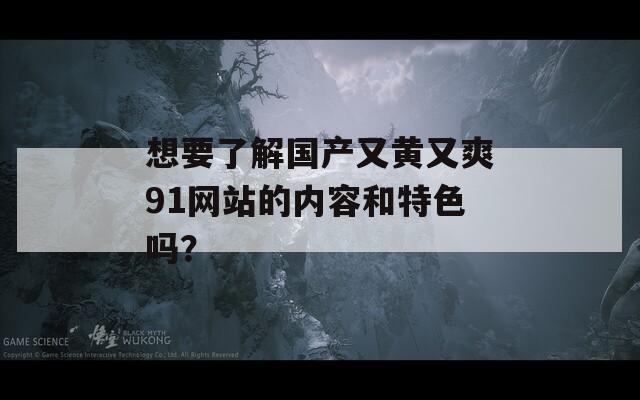 想要了解国产又黄又爽91网站的内容和特色吗？