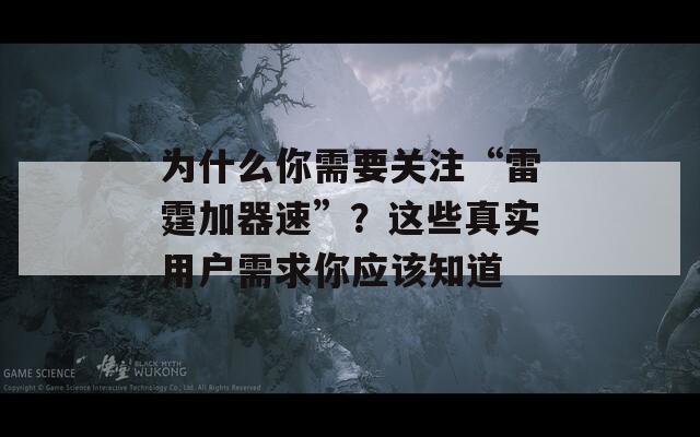 为什么你需要关注“雷霆加器速”？这些真实用户需求你应该知道
