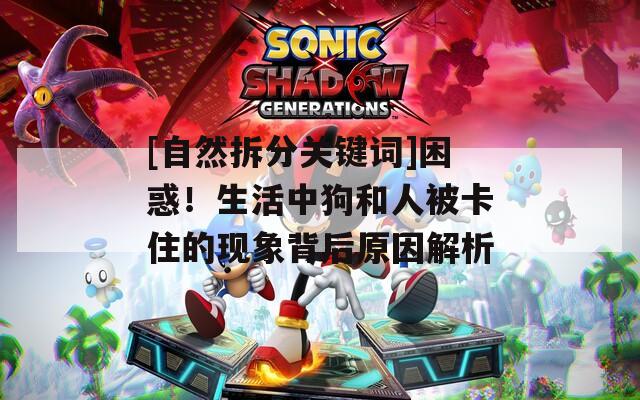 [自然拆分关键词]困惑！生活中狗和人被卡住的现象背后原因解析