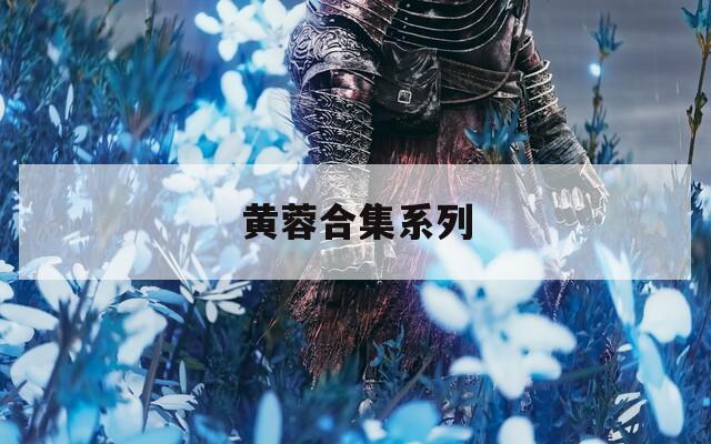 黄蓉合集系列