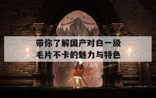 带你了解国产对白一级毛片不卡的魅力与特色