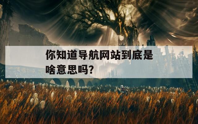 你知道导航网站到底是啥意思吗？