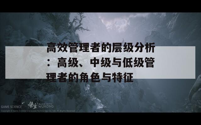 高效管理者的层级分析：高级、中级与低级管理者的角色与特征