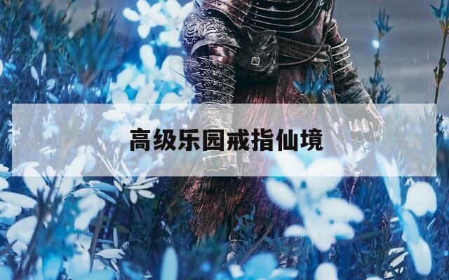 高级乐园戒指仙境