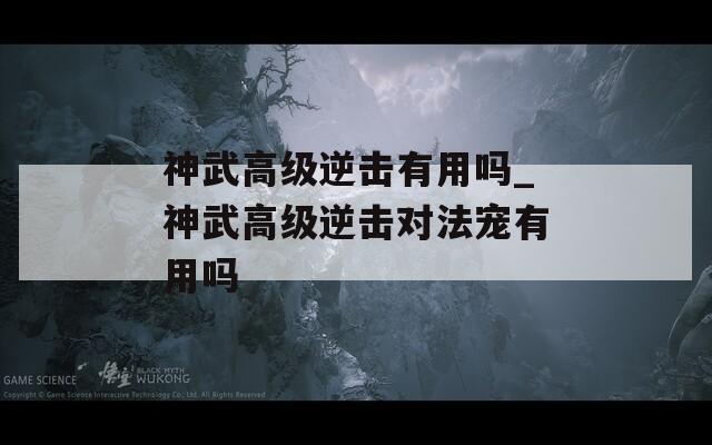 神武高级逆击有用吗_神武高级逆击对法宠有用吗