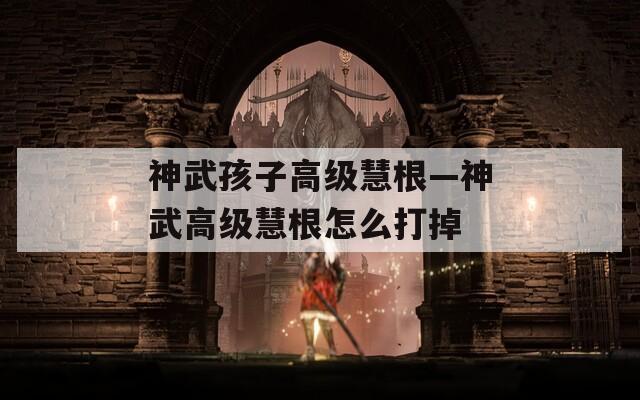 神武孩子高级慧根—神武高级慧根怎么打掉