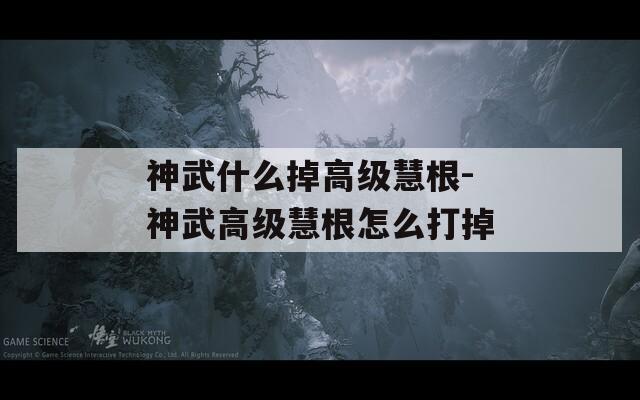 神武什么掉高级慧根-神武高级慧根怎么打掉