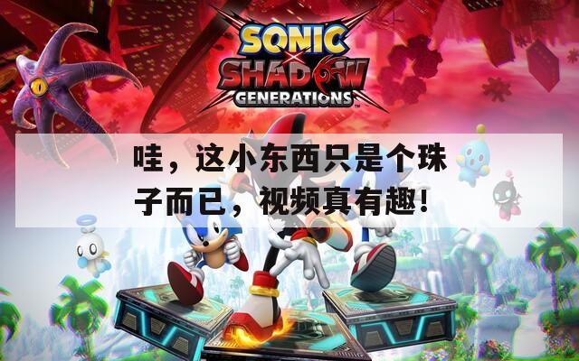 哇，这小东西只是个珠子而已，视频真有趣！