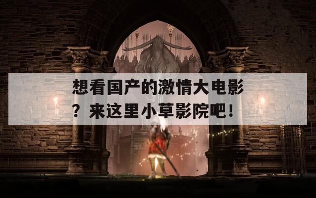想看国产的激情大电影？来这里小草影院吧！