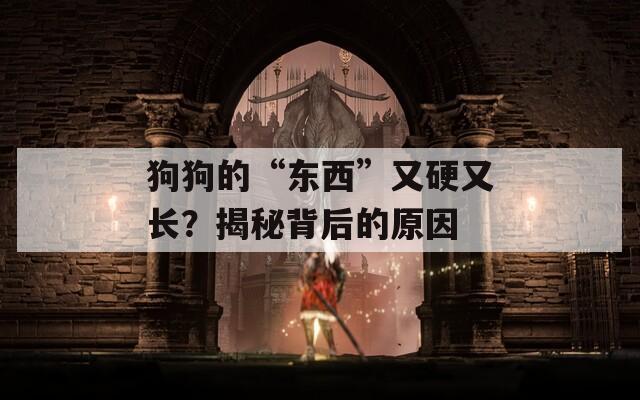 狗狗的“东西”又硬又长？揭秘背后的原因