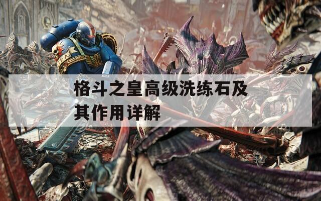 格斗之皇高级洗练石及其作用详解