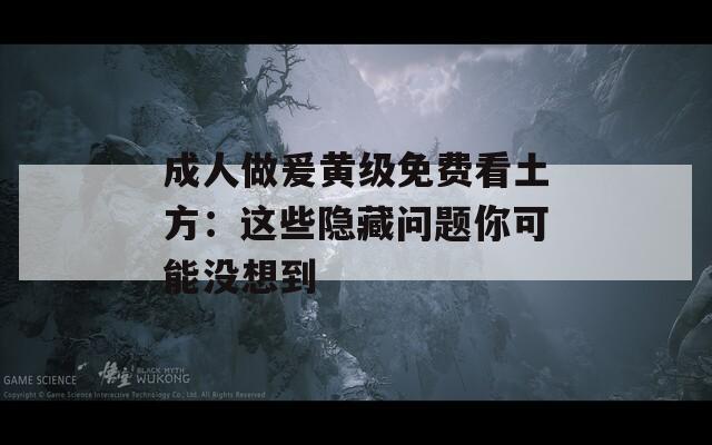 成人做爰黄级免费看土方：这些隐藏问题你可能没想到