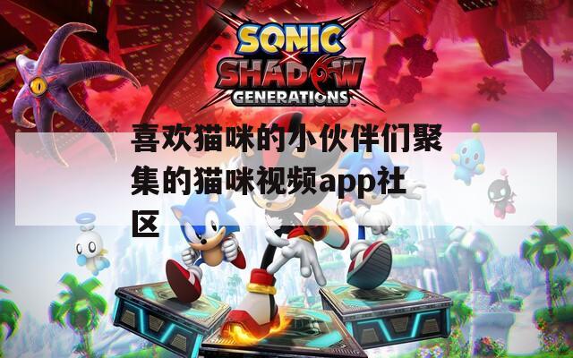 喜欢猫咪的小伙伴们聚集的猫咪视频app社区