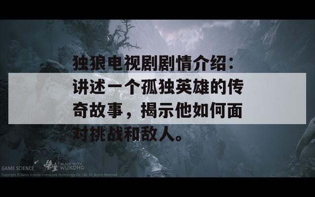 独狼电视剧剧情介绍：讲述一个孤独英雄的传奇故事，揭示他如何面对挑战和敌人。