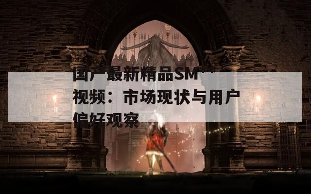 国产最新精品SM**视频：市场现状与用户偏好观察