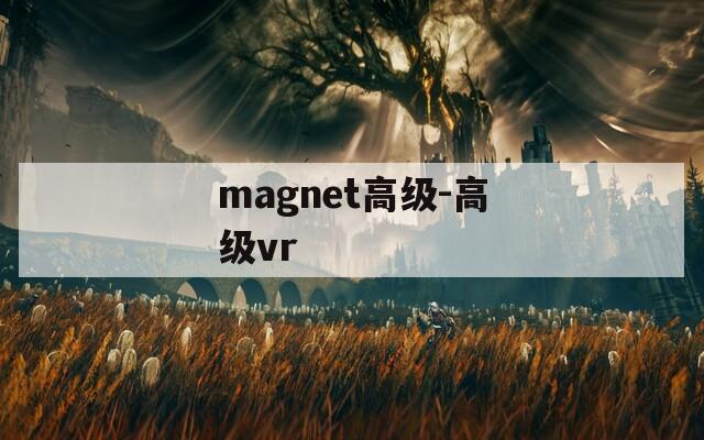 magnet高级-高级vr