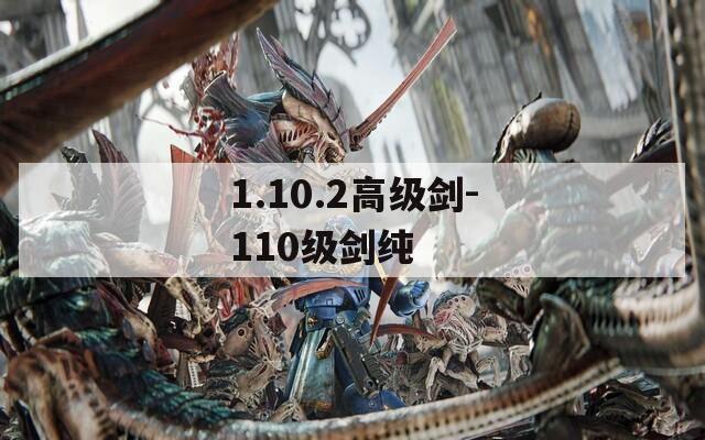 1.10.2高级剑-110级剑纯
