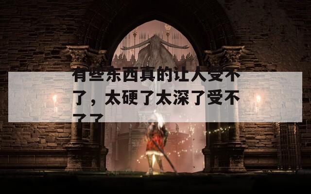 有些东西真的让人受不了，太硬了太深了受不了了