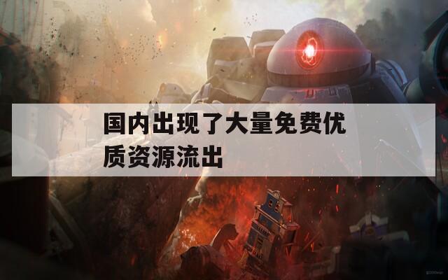 国内出现了大量免费优质资源流出