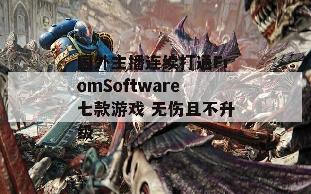 国外主播连续打通FromSoftware七款游戏 无伤且不升级