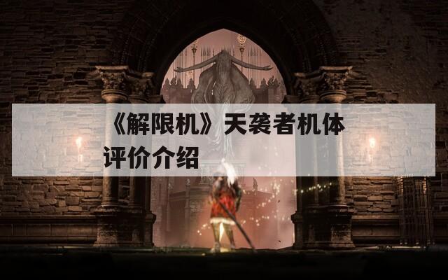 《解限机》天袭者机体评价介绍