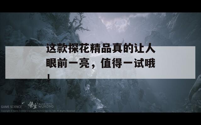 这款探花精品真的让人眼前一亮，值得一试哦！