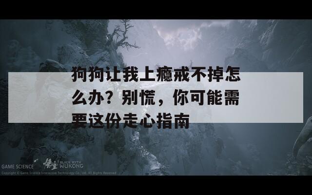 狗狗让我上瘾戒不掉怎么办？别慌，你可能需要这份走心指南