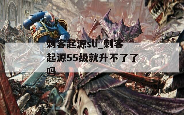 刺客起源sli_刺客起源55级就升不了了吗