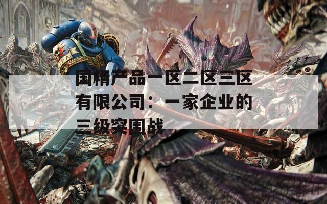 国精产品一区二区三区有限公司：一家企业的三级突围战